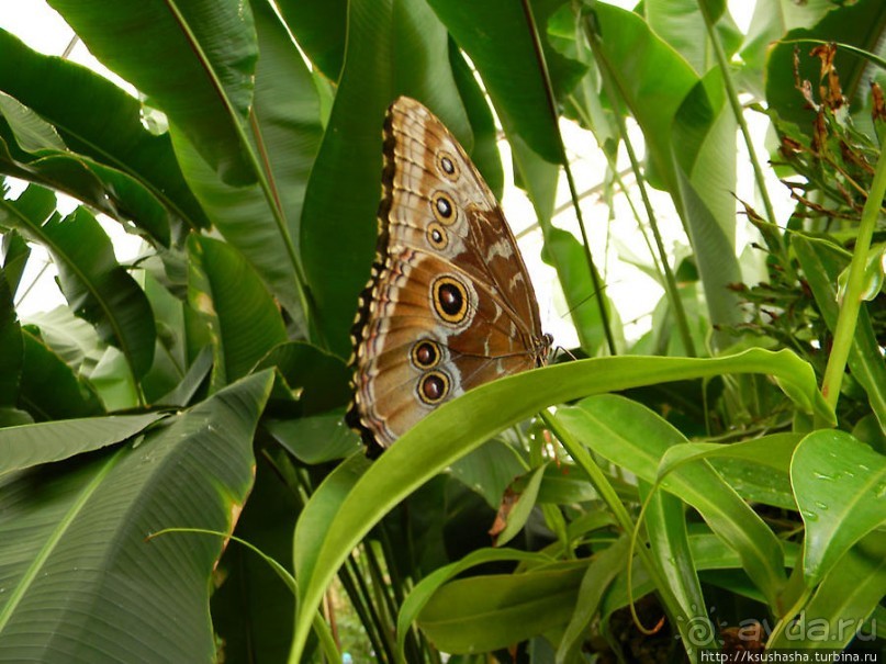 Немного "востока" в горах Беналмадены