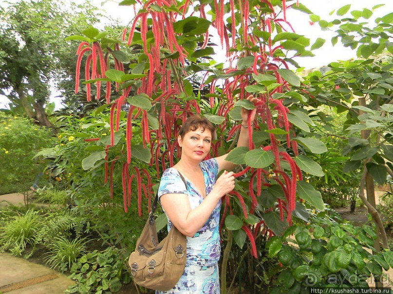 Немного "востока" в горах Беналмадены