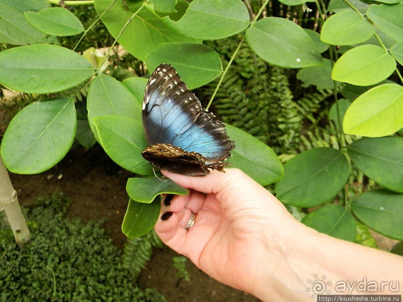 Немного "востока" в горах Беналмадены
