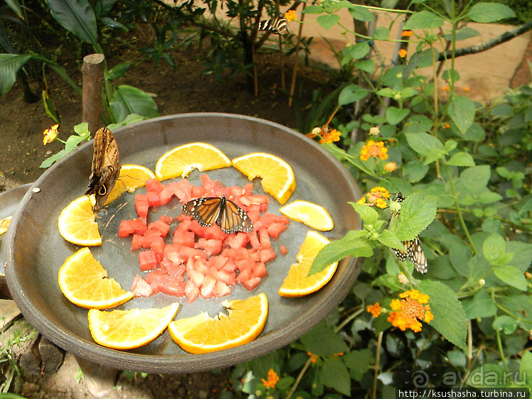 Немного "востока" в горах Беналмадены