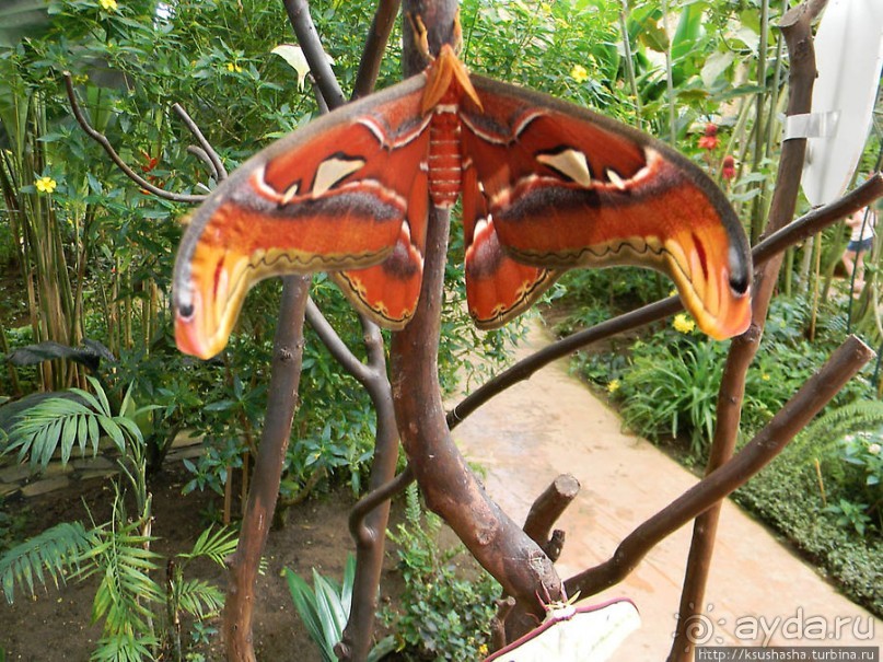 Немного "востока" в горах Беналмадены