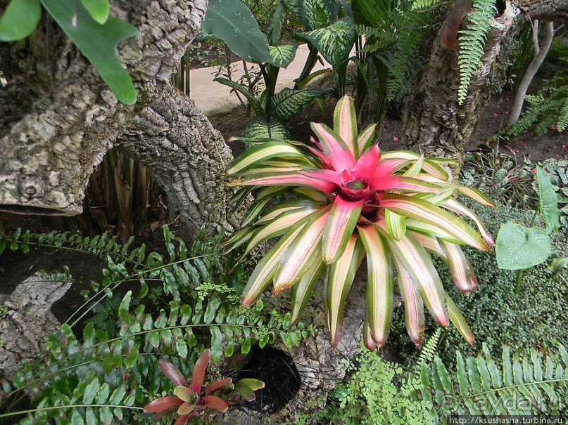 Немного "востока" в горах Беналмадены