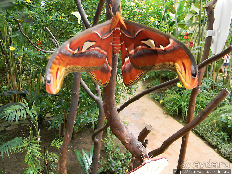 Немного "востока" в горах Беналмадены