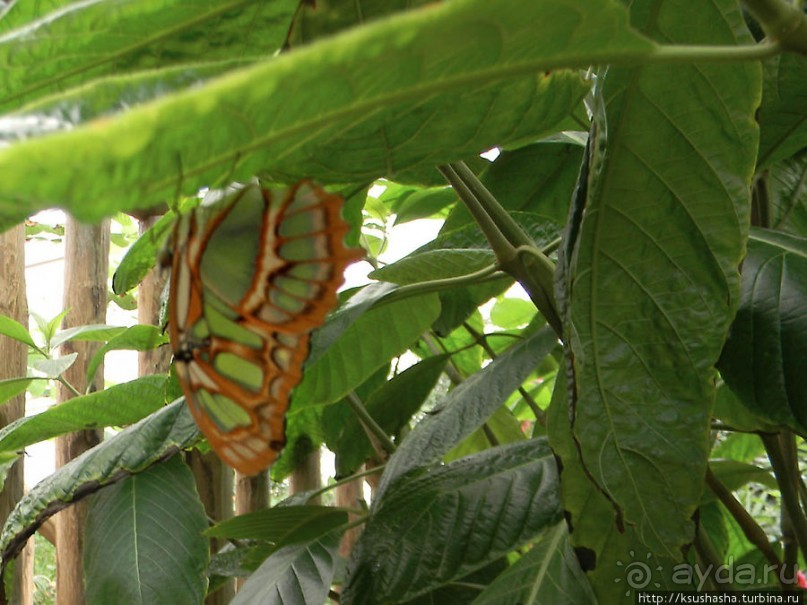 Немного "востока" в горах Беналмадены