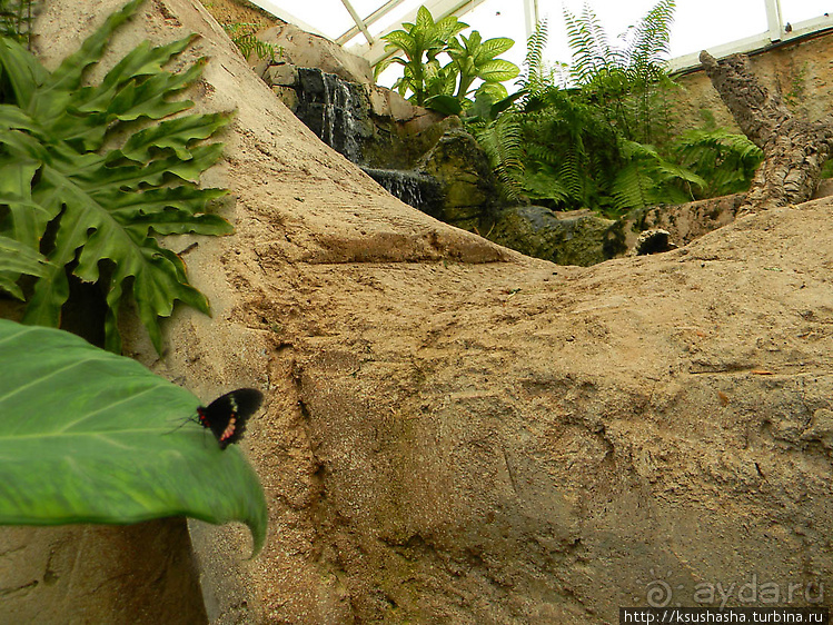 Немного "востока" в горах Беналмадены