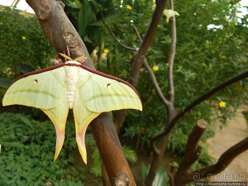Немного "востока" в горах Беналмадены