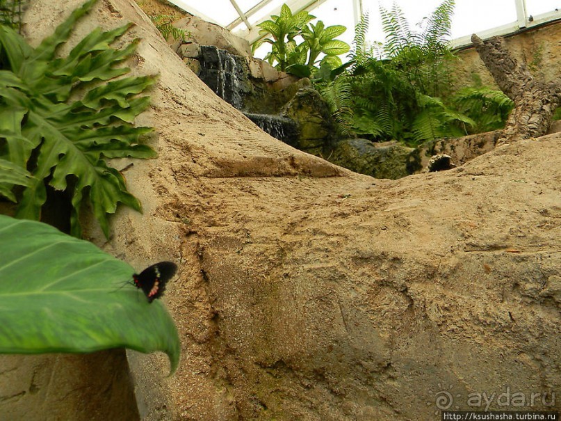 Немного "востока" в горах Беналмадены