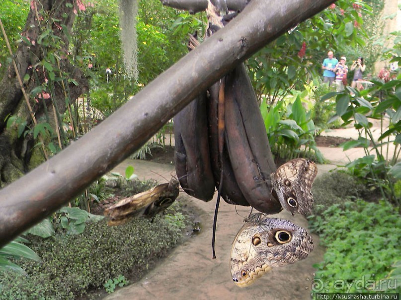 Немного "востока" в горах Беналмадены
