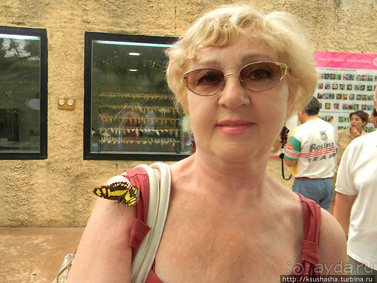 Немного "востока" в горах Беналмадены