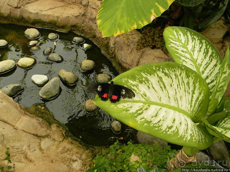 Немного "востока" в горах Беналмадены