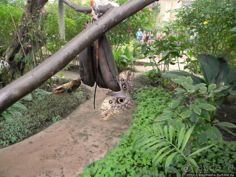 Немного "востока" в горах Беналмадены