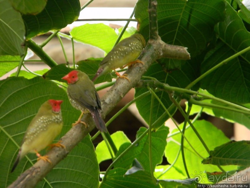 Немного "востока" в горах Беналмадены