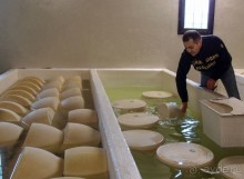 Альбом отзыва "Парма — значит, пармезан!"