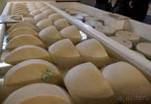 Альбом отзыва "Парма — значит, пармезан!"