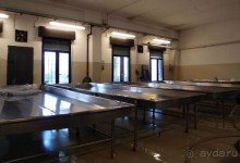 Парма — значит, пармезан!