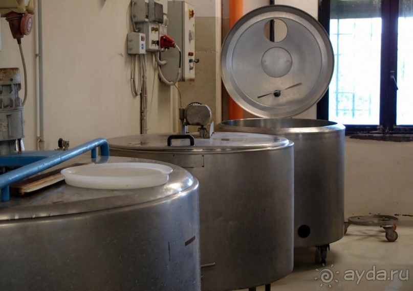 Парма — значит, пармезан!