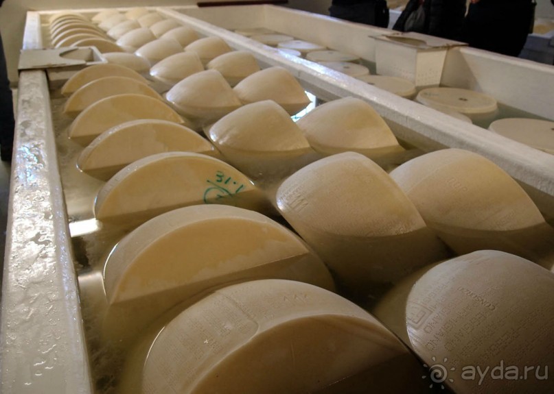 Альбом отзыва "Парма — значит, пармезан!"