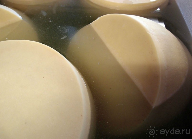 Парма — значит, пармезан!