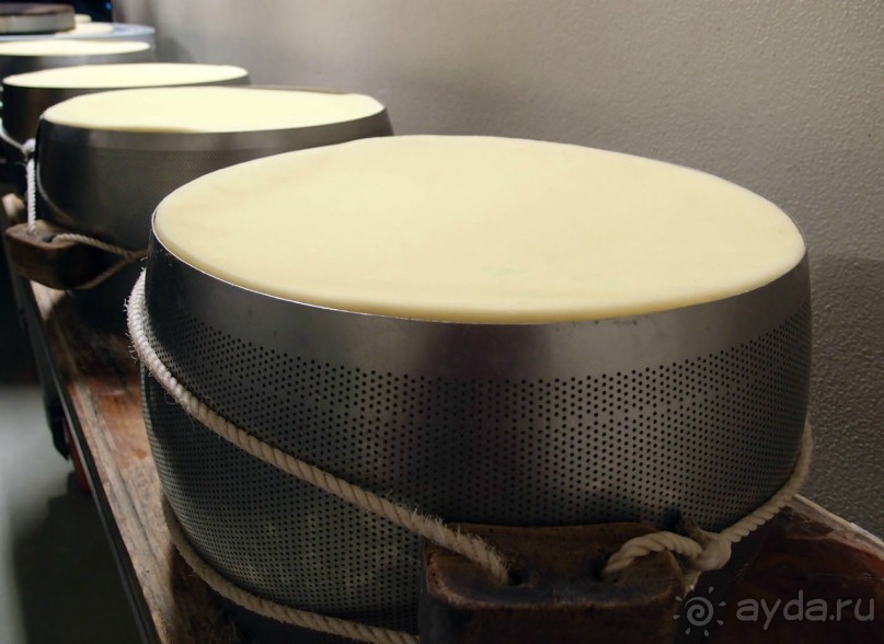 Альбом отзыва "Парма — значит, пармезан!"