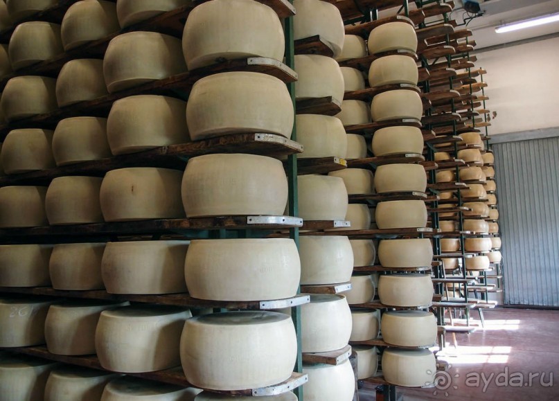 Парма — значит, пармезан!