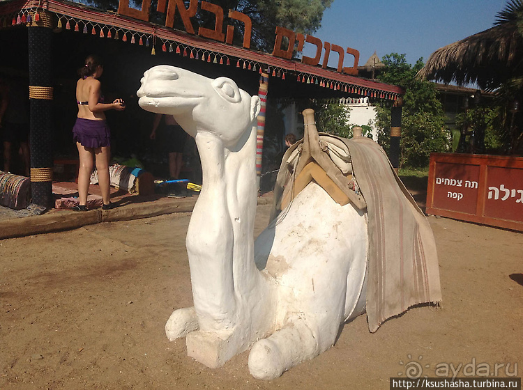 Несколько общих советов или Чем мне нравится Эйлат