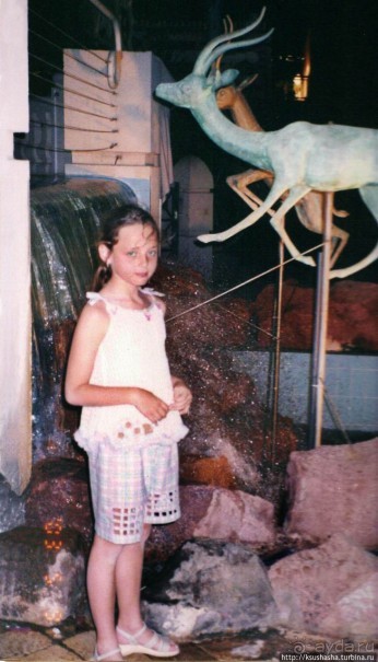 Несколько общих советов или Чем мне нравится Эйлат