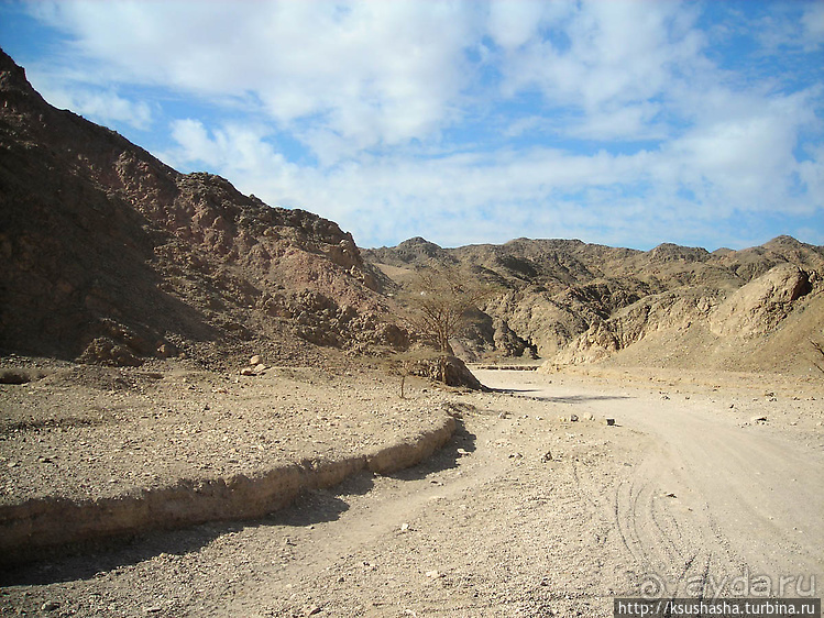 Несколько общих советов или Чем мне нравится Эйлат