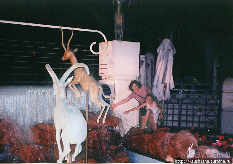 Несколько общих советов или Чем мне нравится Эйлат