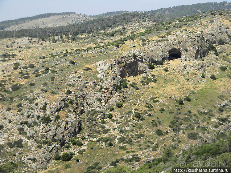 Львы Иерусалима