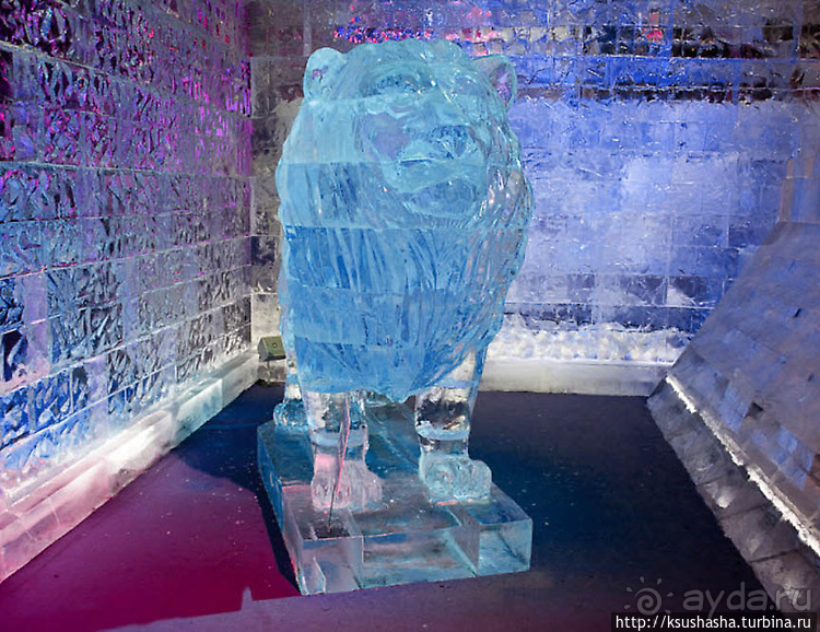 Львы Иерусалима