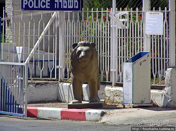 Львы Иерусалима