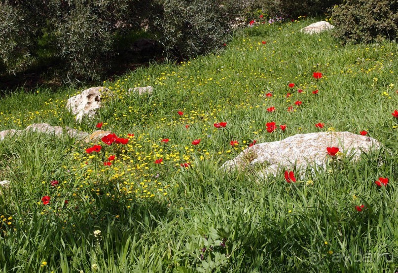 Богатства Иерусалима на холме в Гиват Рам