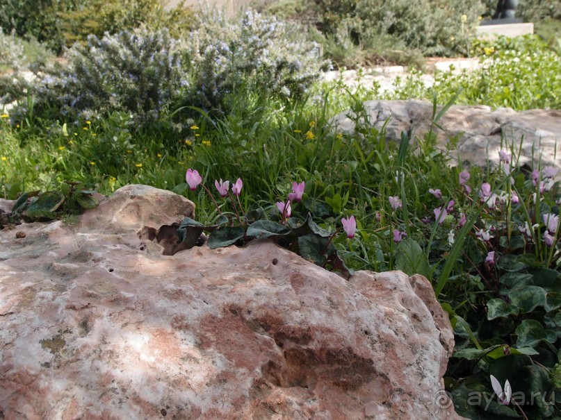 Богатства Иерусалима на холме в Гиват Рам