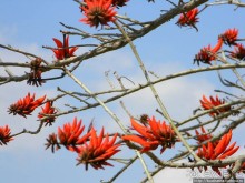 На горе Блаженств