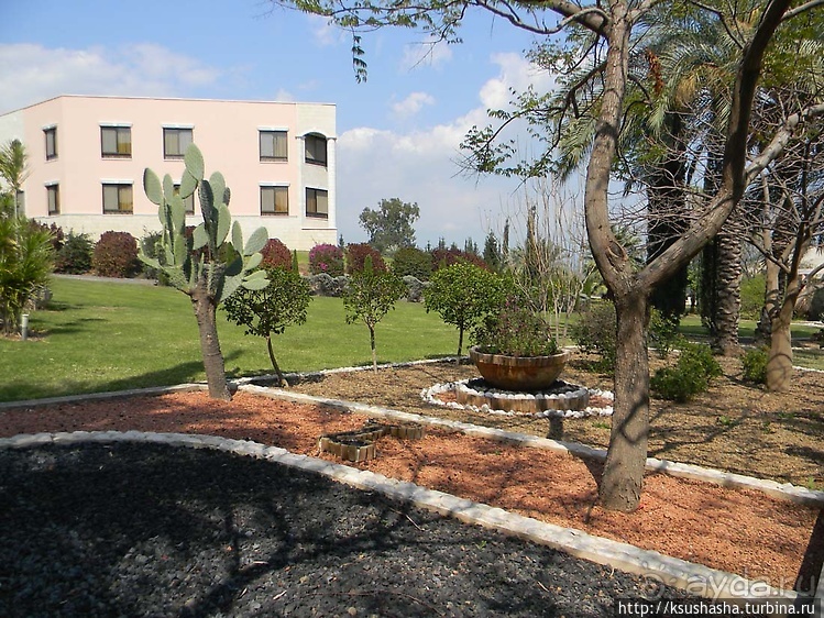 На горе Блаженств