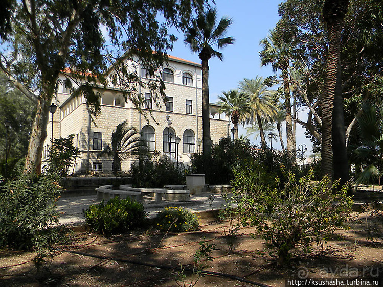 На горе Блаженств На горе Блаженств