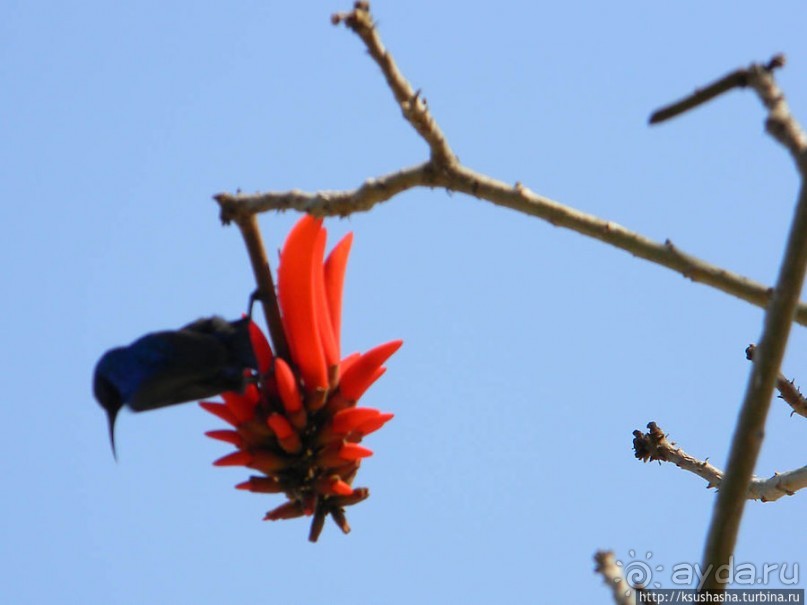На горе Блаженств На горе Блаженств