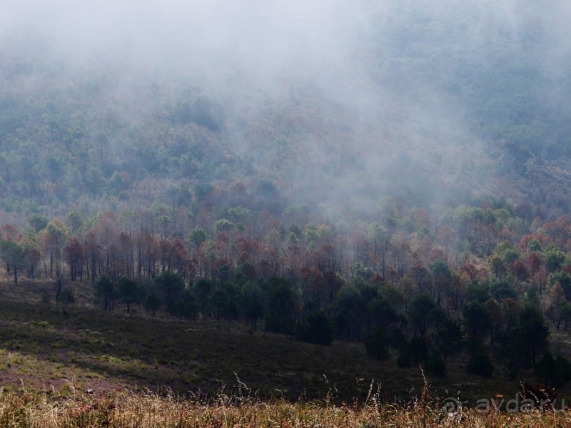 Альбом истории "Время вулканов "