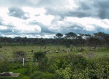 Марокко. Дорожные зарисовки