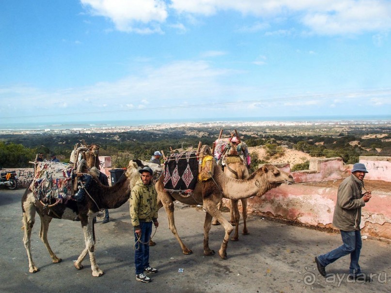Марокко. Дорожные зарисовки