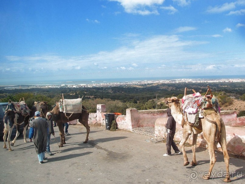 Марокко. Дорожные зарисовки