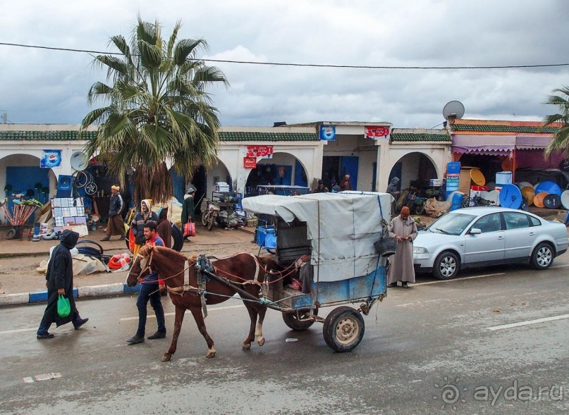 Марокко. Дорожные зарисовки