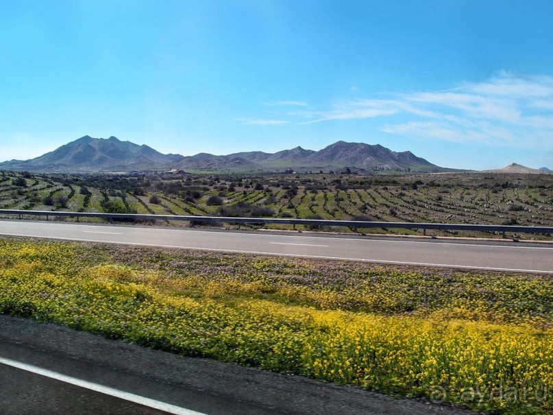 Марокко. Дорожные зарисовки