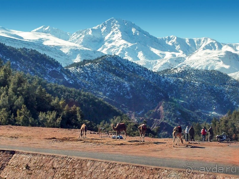 Марокко. Дорожные зарисовки