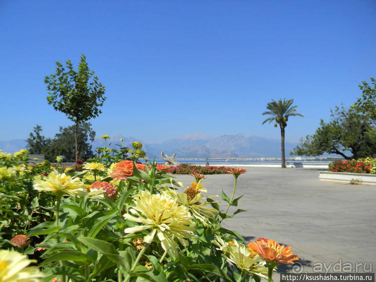 Анталия. Первое знакомство