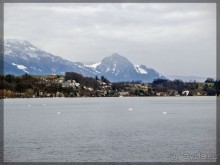 Дорога, озеро и лев