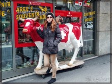 Дорога, озеро и лев