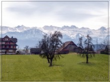 Дорога, озеро и лев