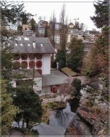 Дорога, озеро и лев