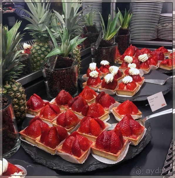 Дорога, озеро и лев